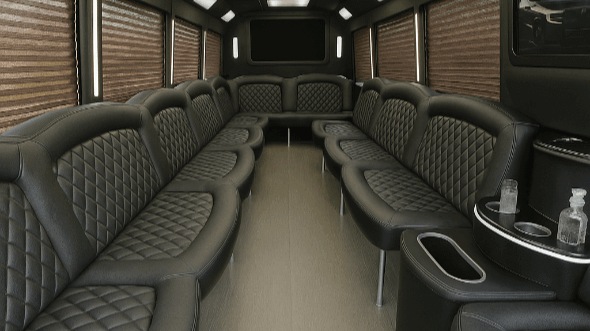 missouri 20 passenger party bus rental